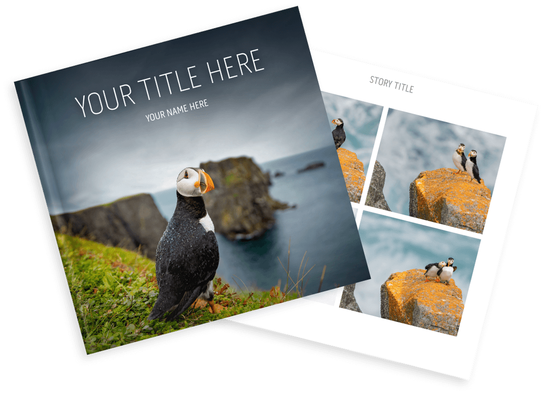 Create your own storybook